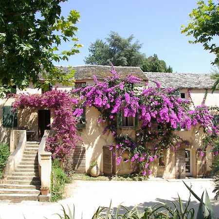 Domaine De Valle Sorbo-Ocagnano Ngoại thất bức ảnh
